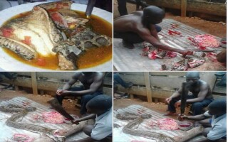 See How This Huge Python Was Converted To Pepper Soup